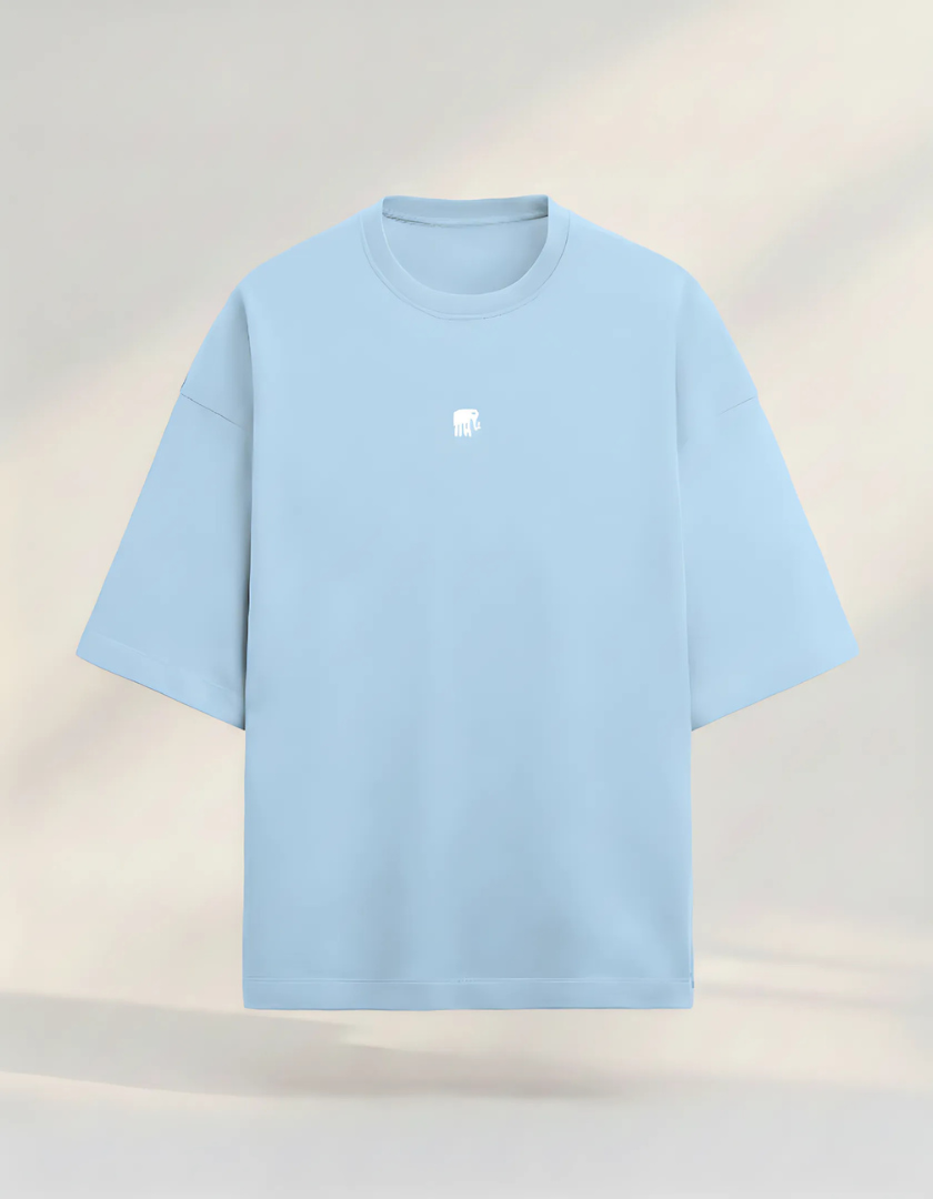 अरSA Terry Premium Oversized Tees