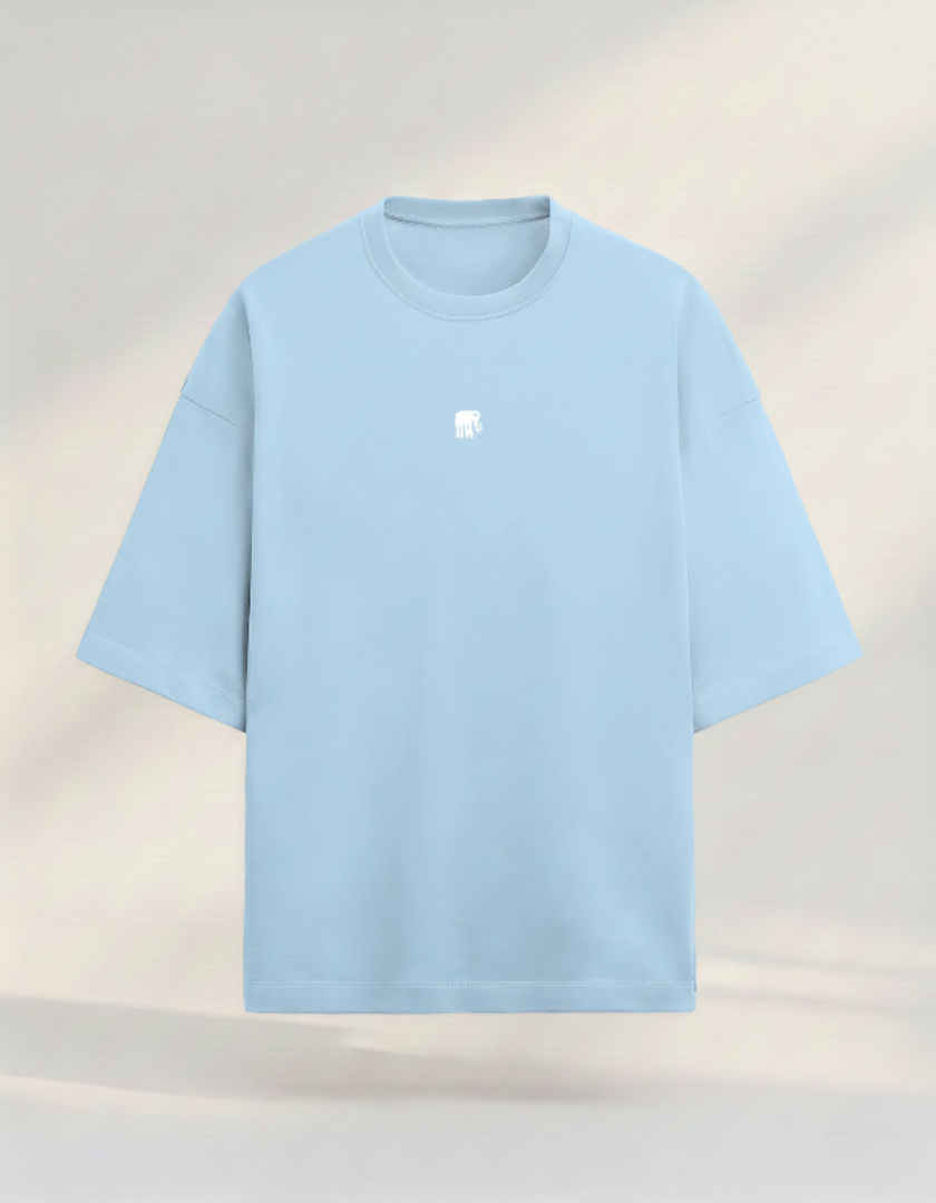 अरSA Terry Premium Oversized Tees